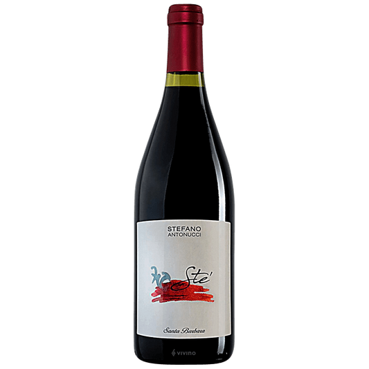 Rode wijn Santa Barbara ‘Sté’ Rosso Piceno